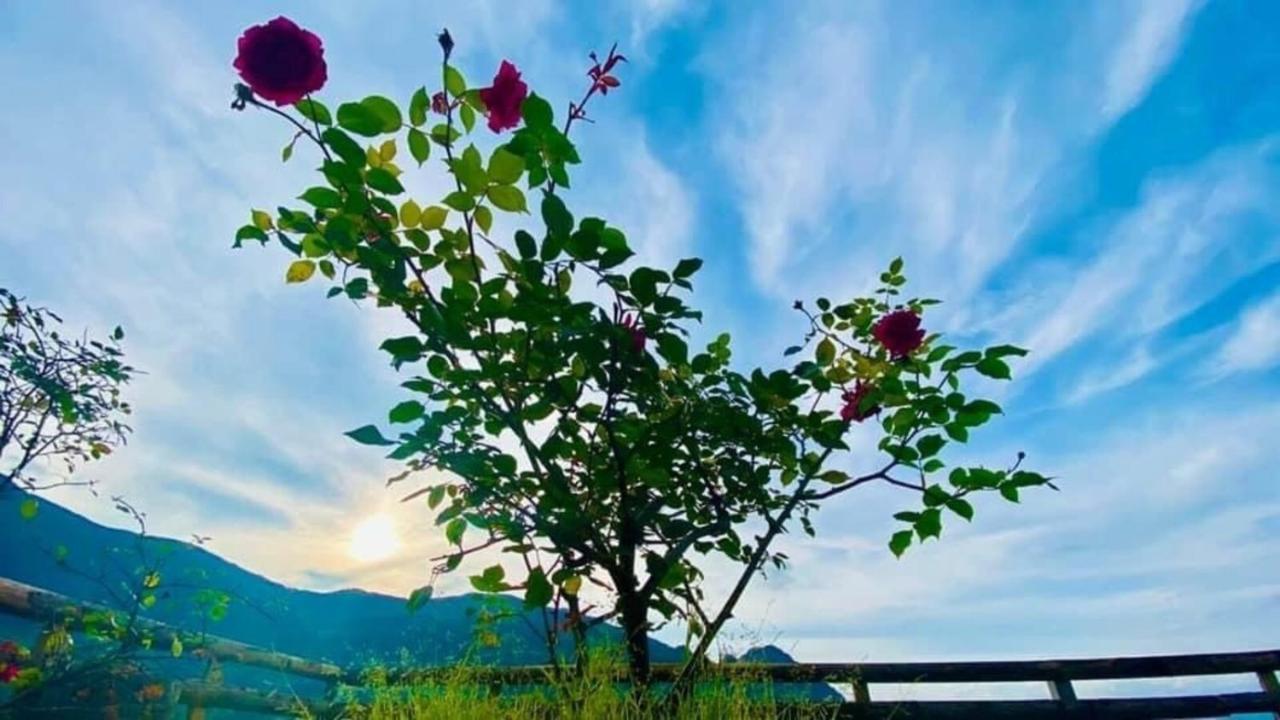 Ha Lu Homestay หล่าวกาย ภายนอก รูปภาพ
