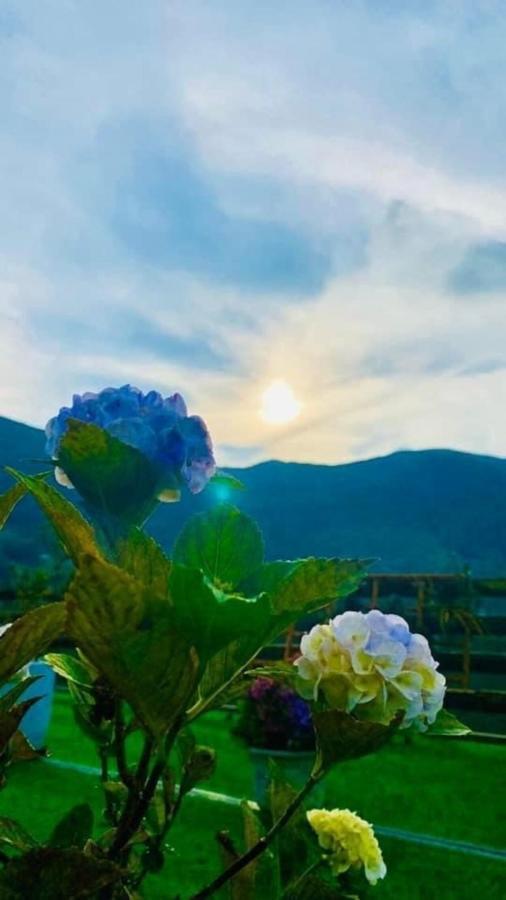 Ha Lu Homestay หล่าวกาย ภายนอก รูปภาพ
